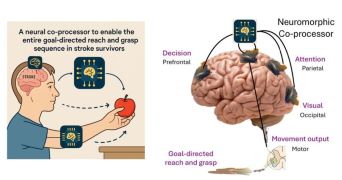 Indian Institute of Science, Bengaluru, has launched a 'moonshot' project to develop a brain co-processor
